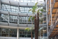 Rabinstraße VIII_Fokus