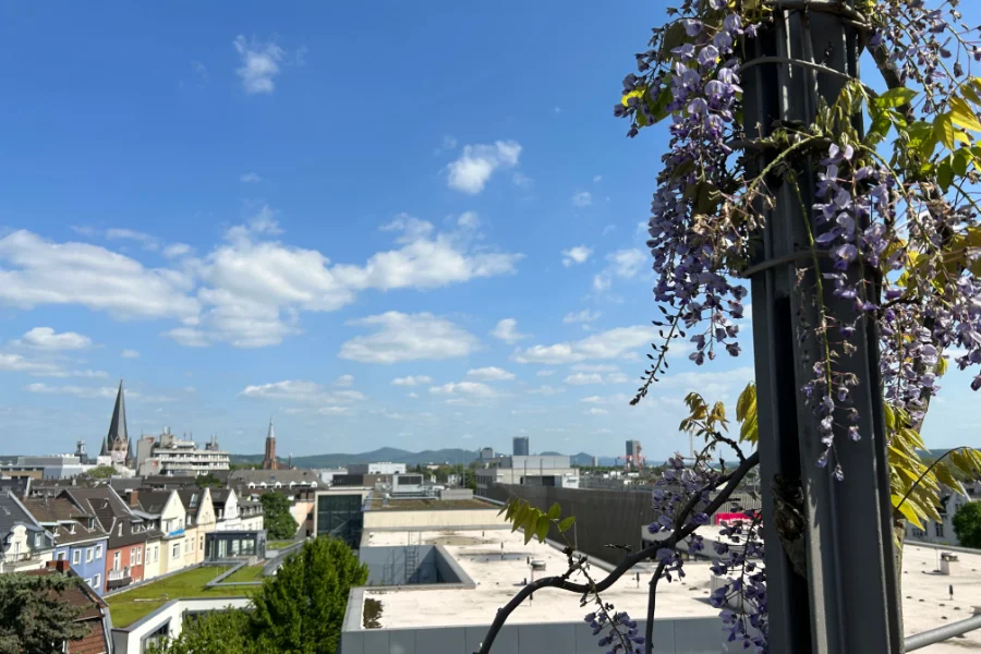 Blick von der Dachterrasse Richtung Stadt