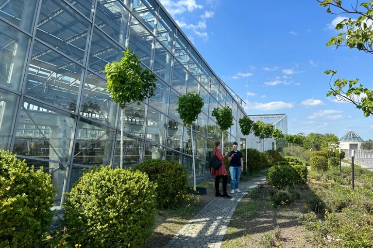 Besucher*innen der Dachterrasse