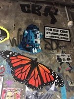 A6B16C27-B434-48BB-92D6-FB177B8AF2D3_1_105_c.webp
