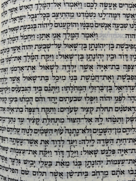 Bild 24.06.25 um 21.19.jpeg