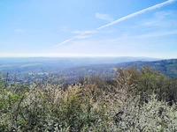 image 2_landscape.png