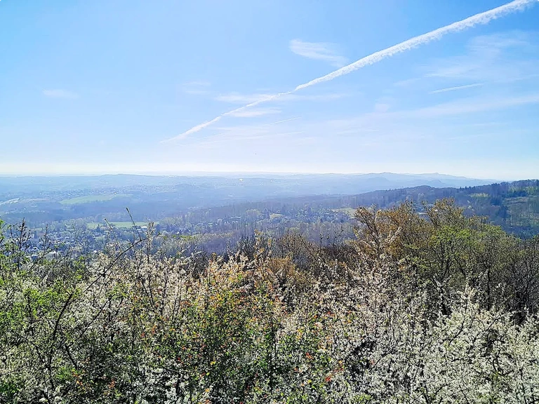 image 2_landscape.png