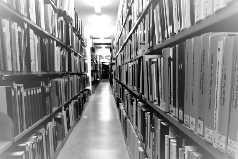 Bücherregale SW.jpg