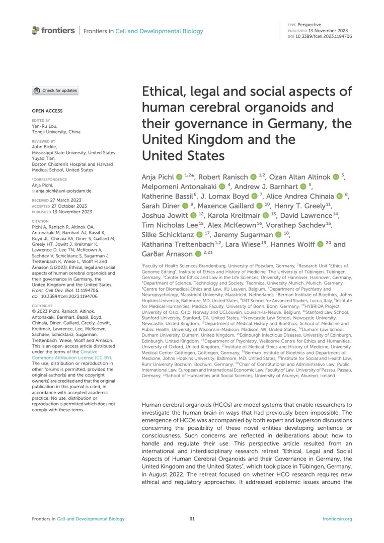 Ethical, legal and social aspects of human cerebral organoids and their governance in Germany, the United Kingdom and the United States