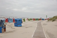 Systematik auf der Insel