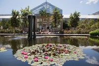 Auslandsaufenthalt 1_Fokus