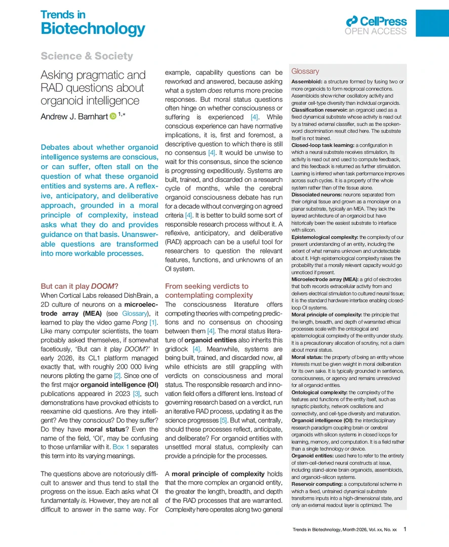 Asking pragmatic and RAD questions about organoid intelligence